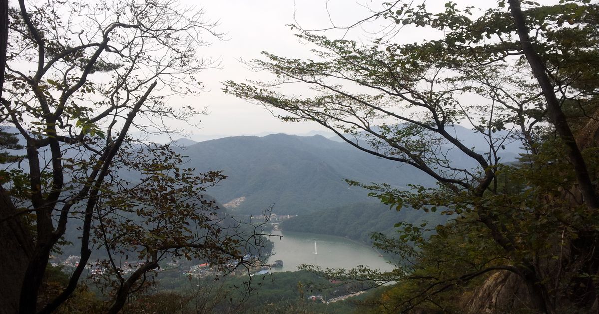 나뭇가지 사이로 보이는 산에 둘러싸인 호수